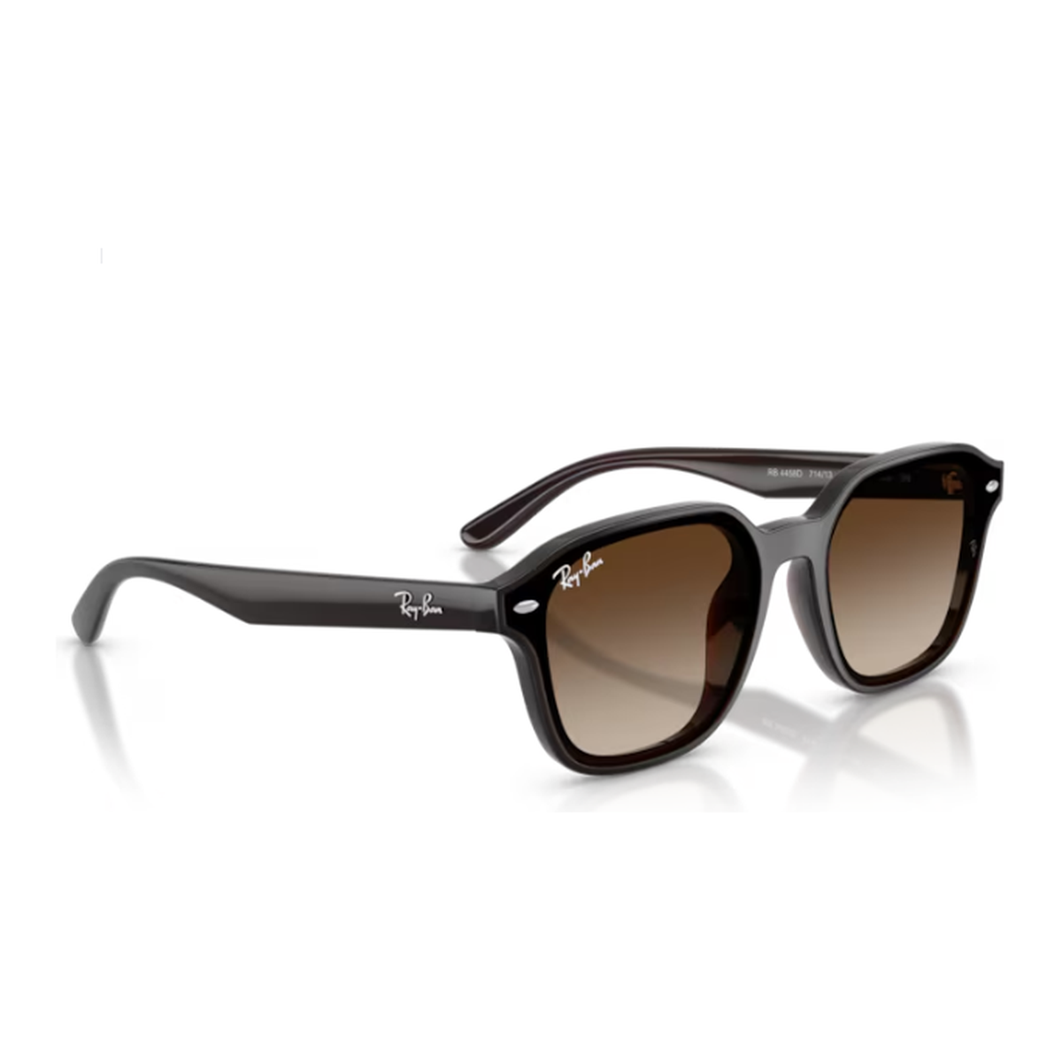 Ray-Ban (RB4458D)