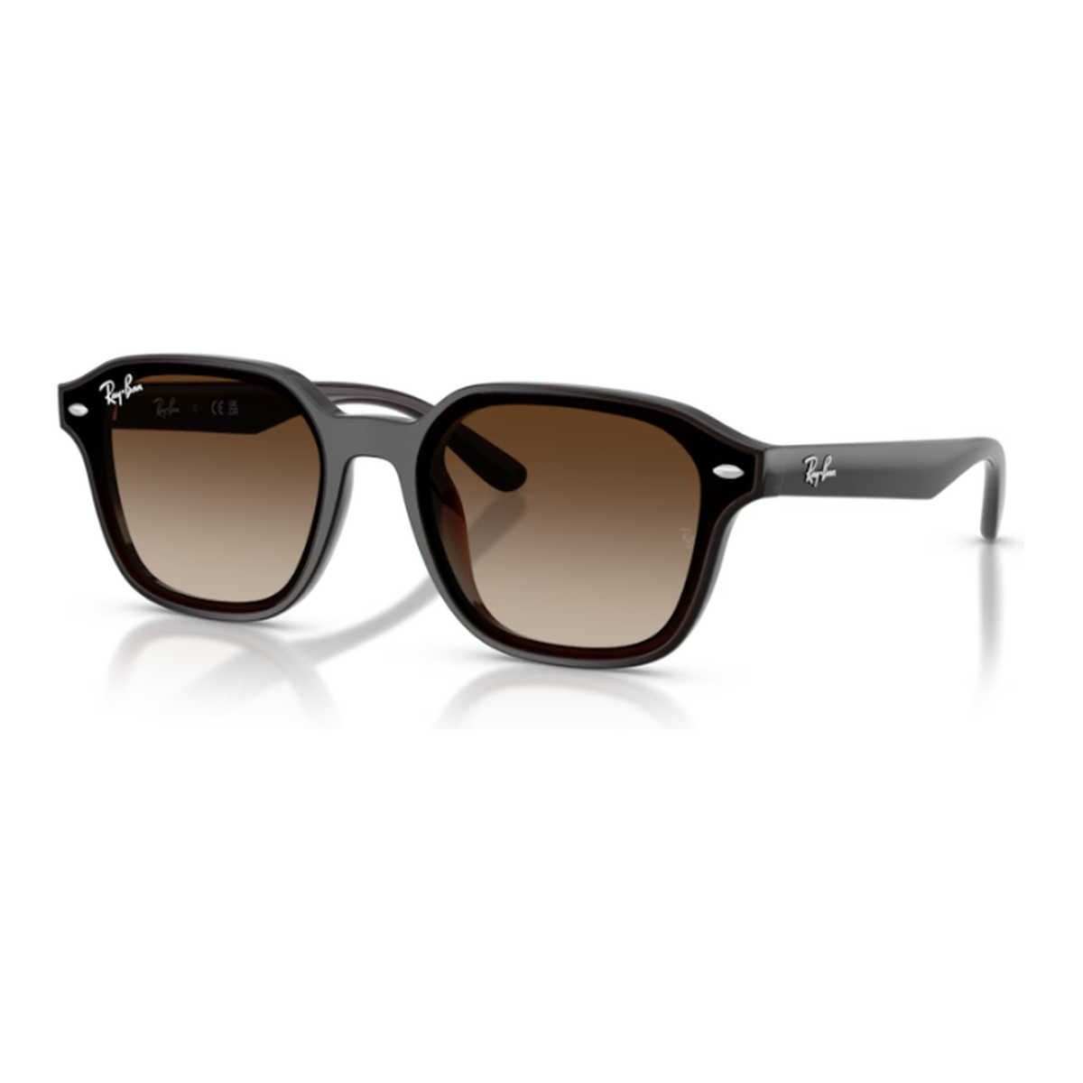 Ray-Ban (RB4458D)