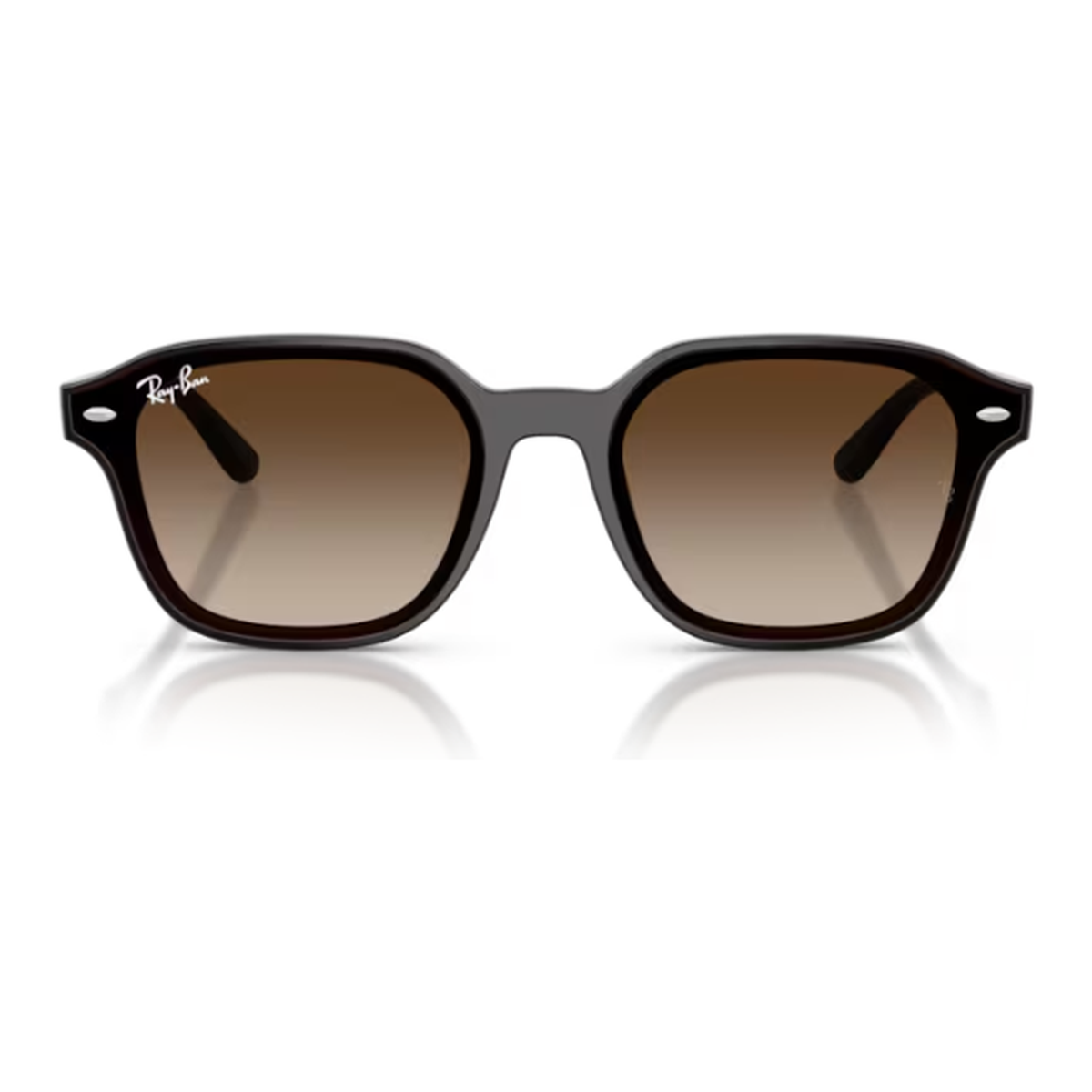 Ray-Ban (RB4458D)