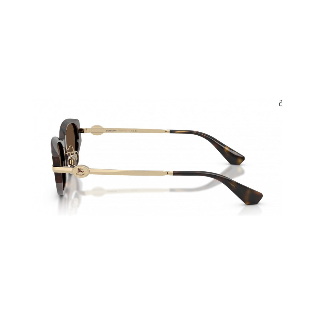 Burberry (BE4493D)