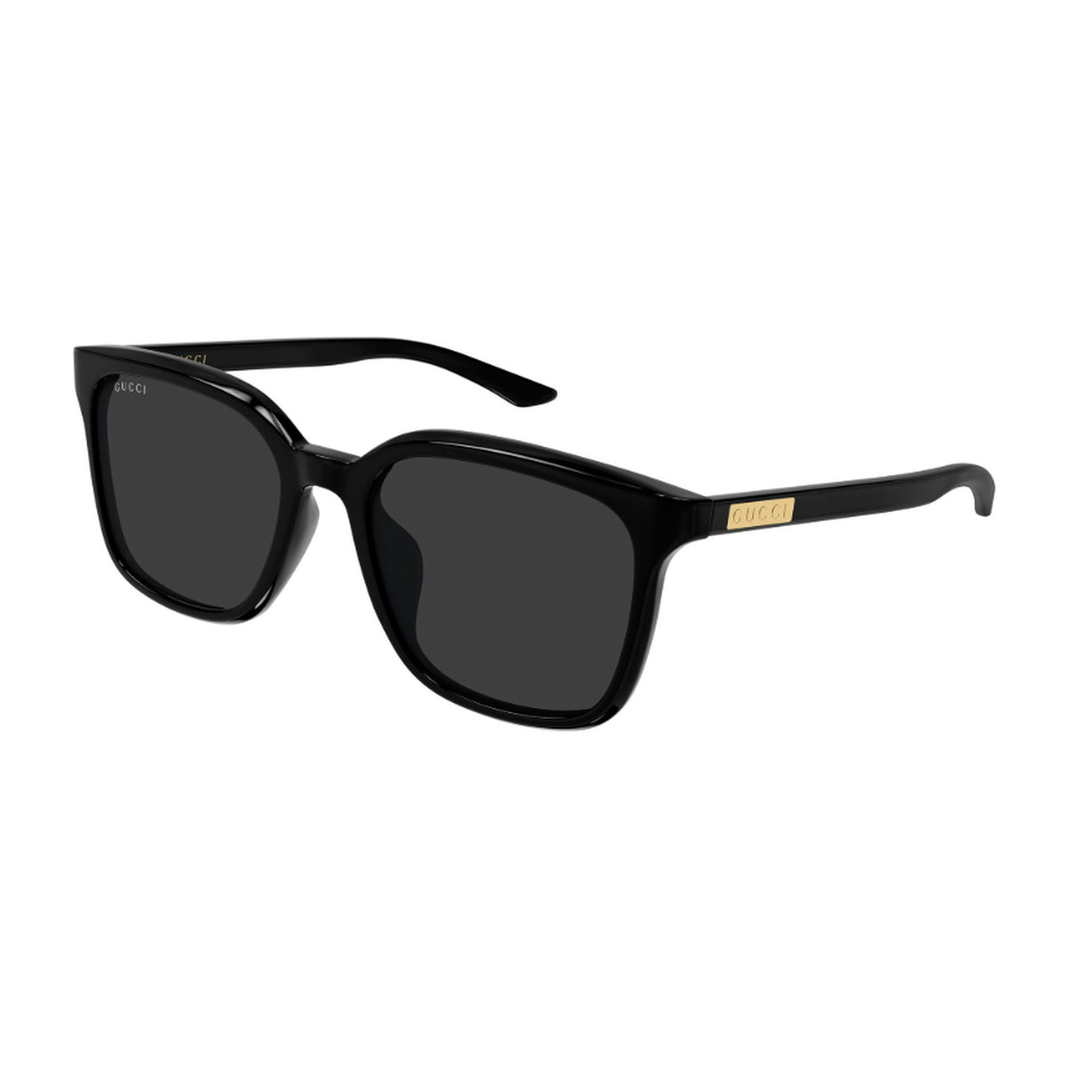 Gucci (GG2080SK)