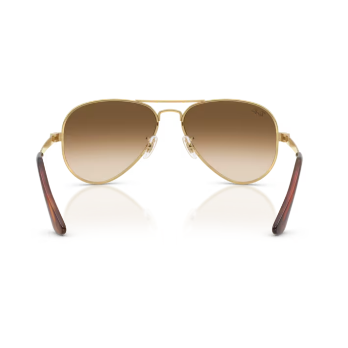 Ray-Ban (RB3925)
