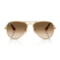 Ray-Ban (RB3925)