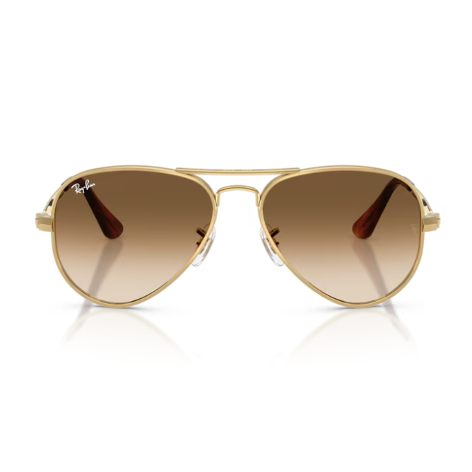 Ray-Ban (RB3925)