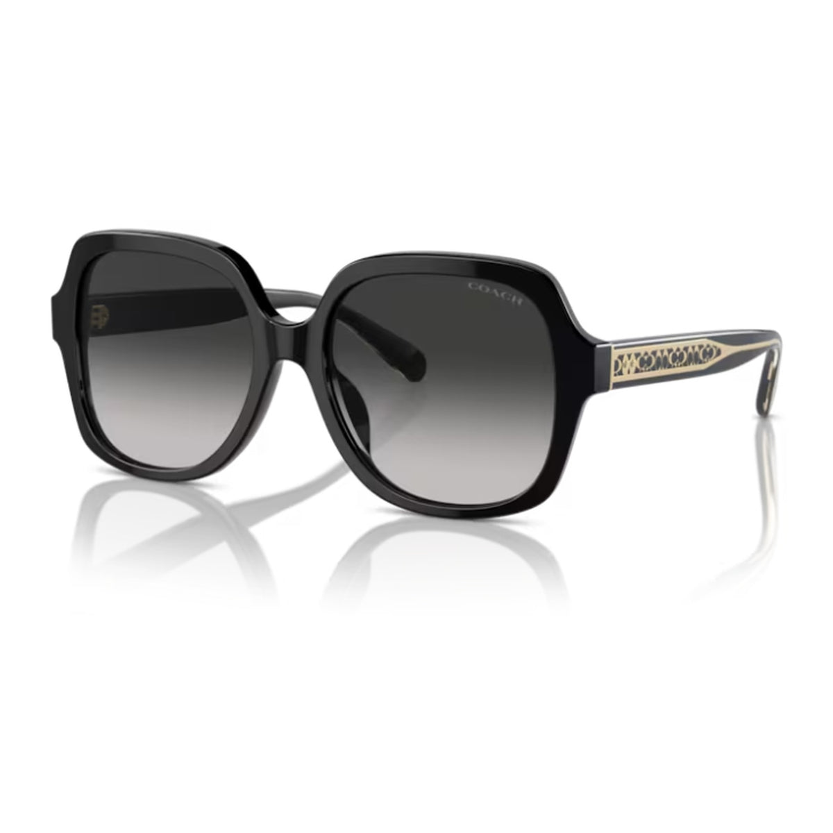Coach(HC8395F)