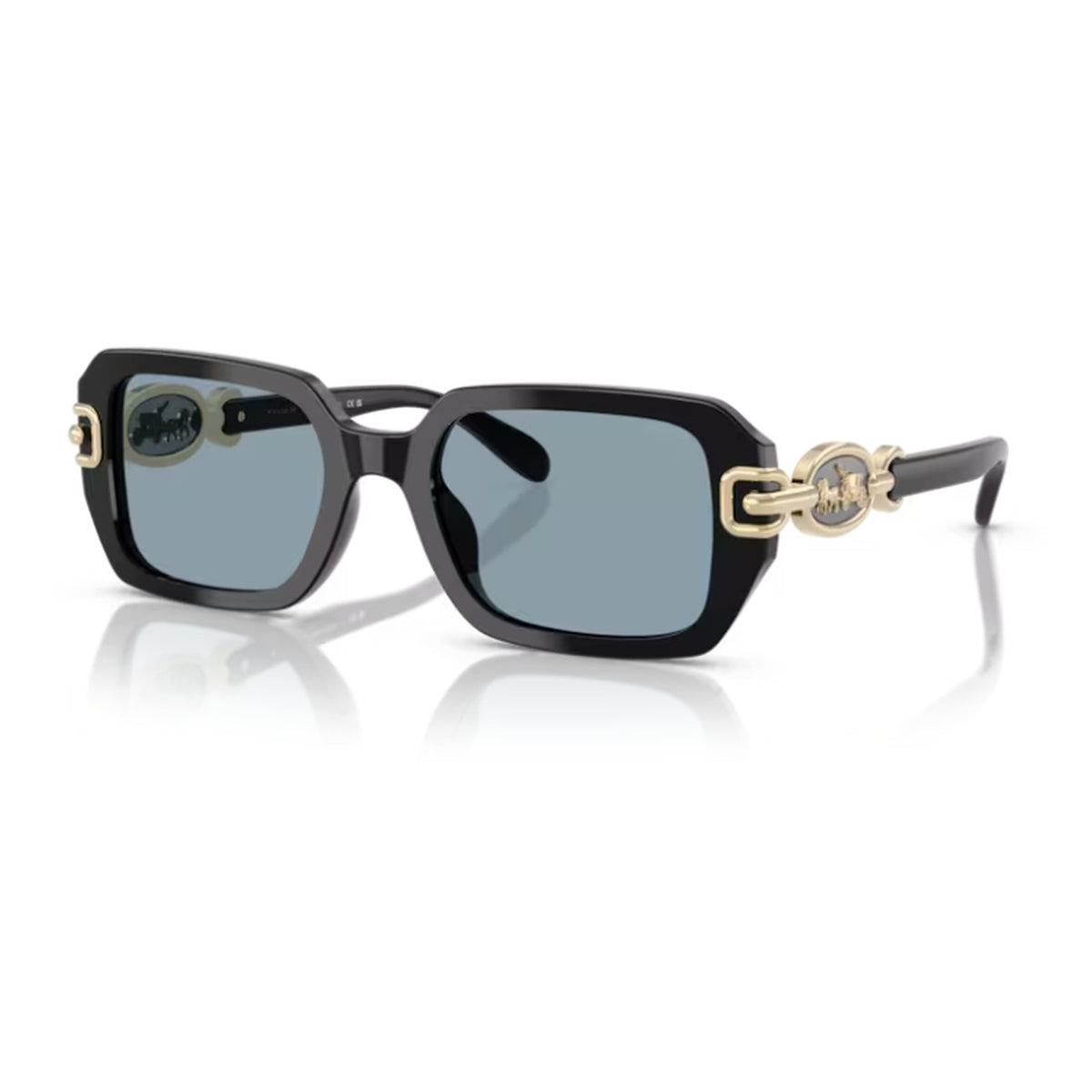 Coach(HC8425U)