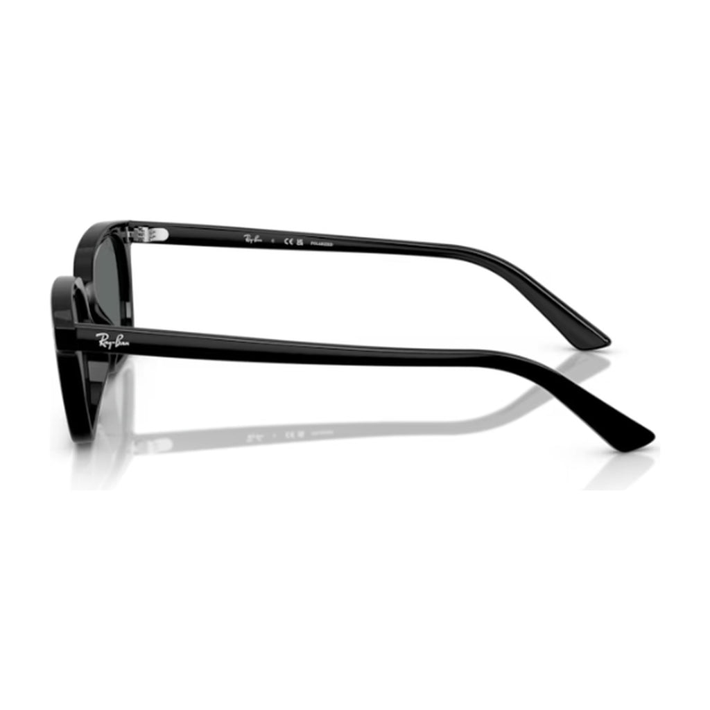 Ray-Ban (RB4456F)