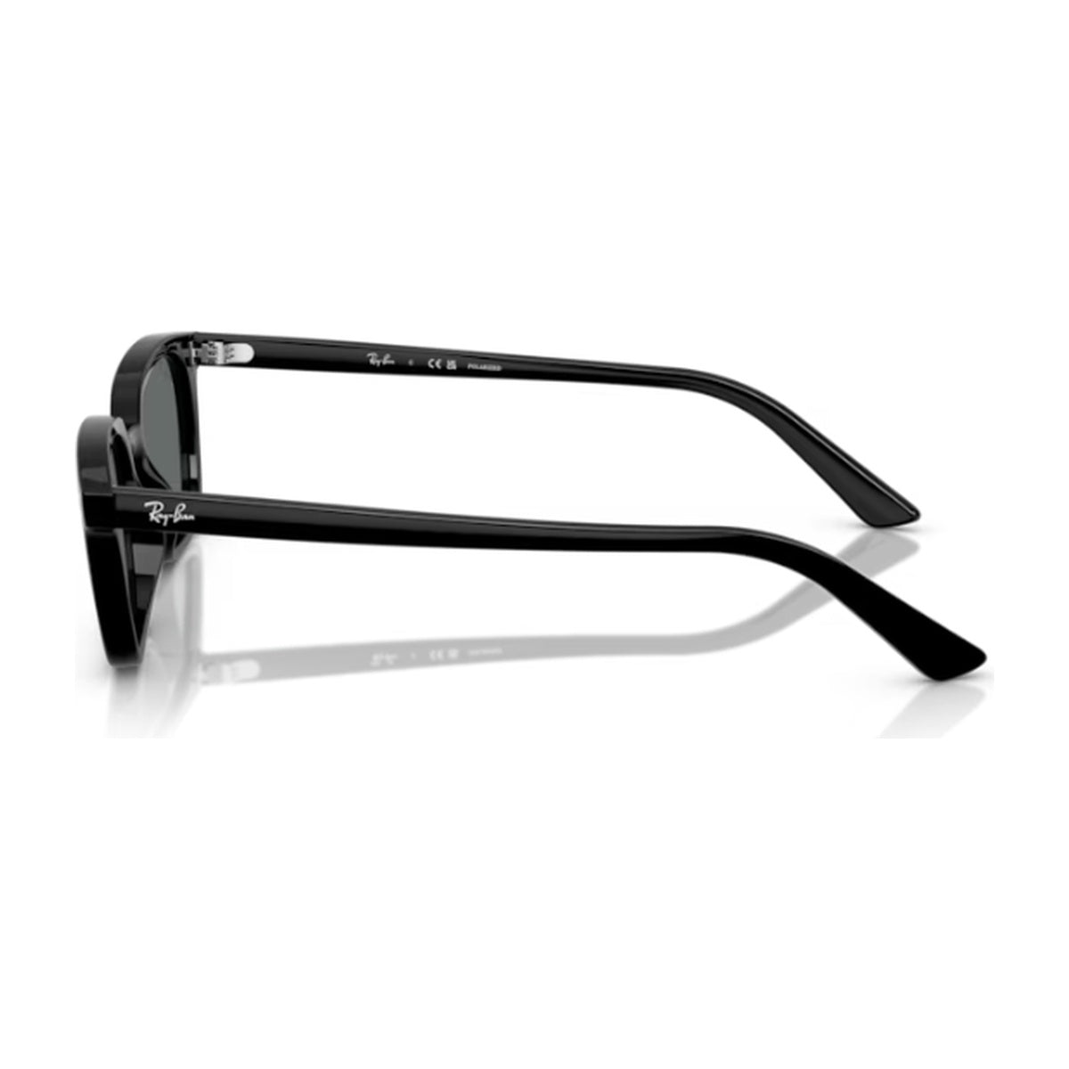 Ray-Ban (RB4456F)