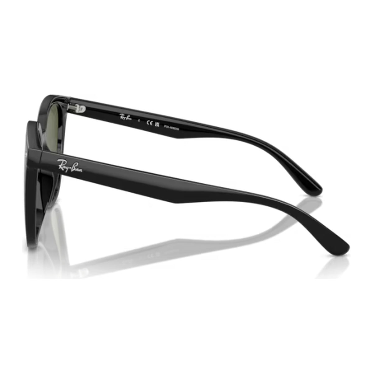 Ray-Ban (RB4423D)