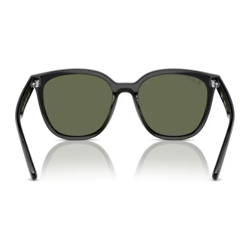 Ray-Ban (RB4423D)