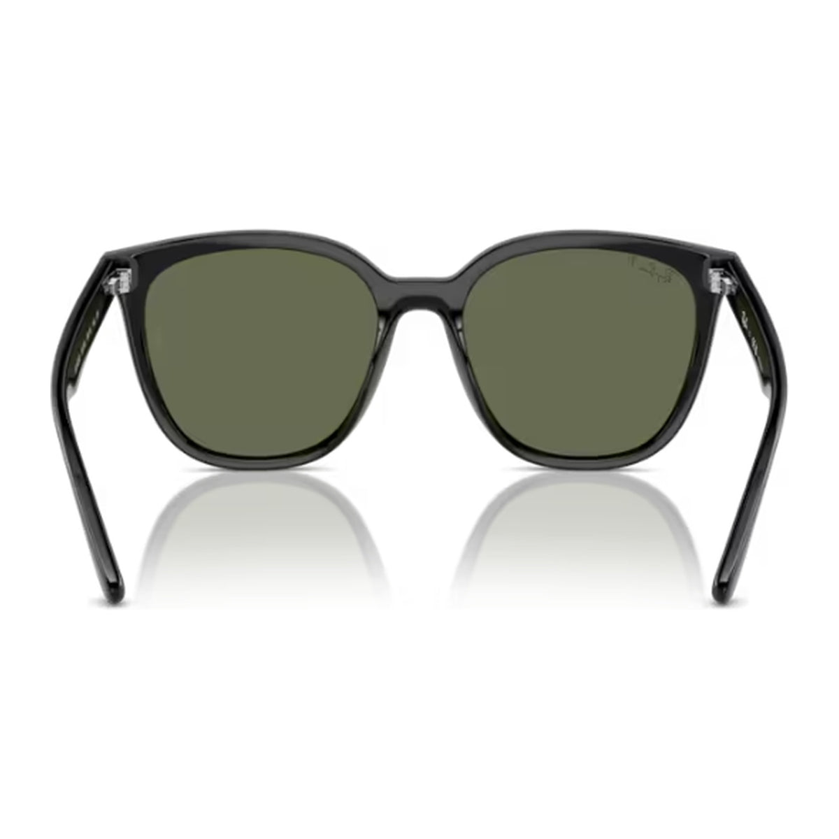 Ray-Ban (RB4423D)