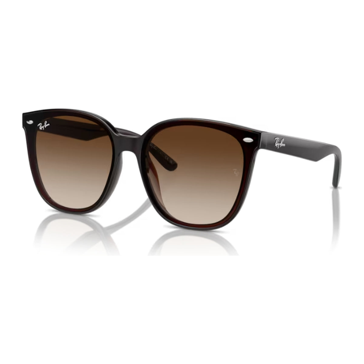 Ray-Ban (RB4423D)