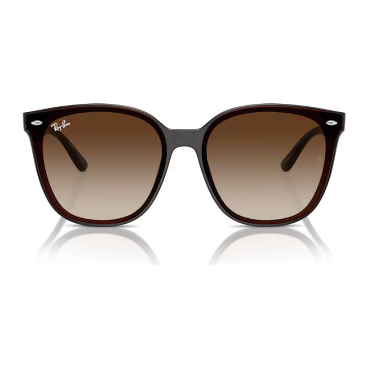 Ray-Ban (RB4423D)