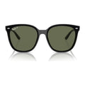 Ray-Ban (RB4423D)