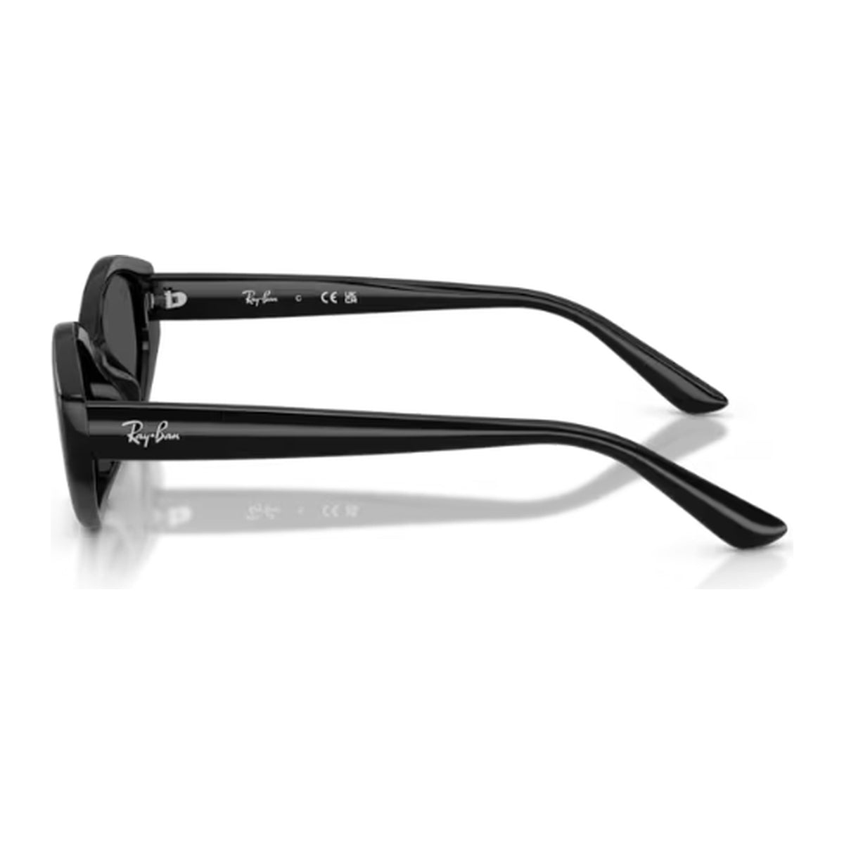 Ray-Ban (RB4473D)