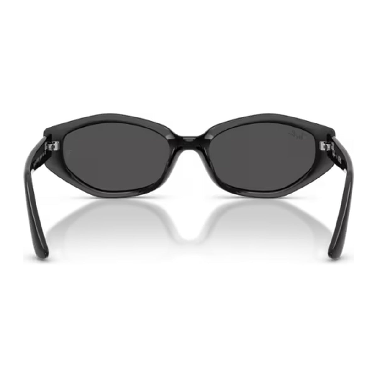 Ray-Ban (RB4473D)