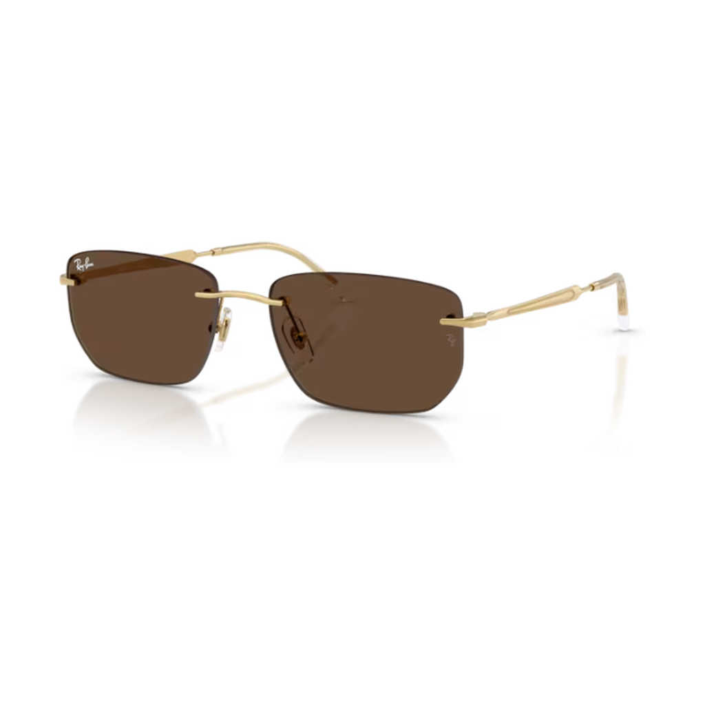 Ray-Ban (RB3768)