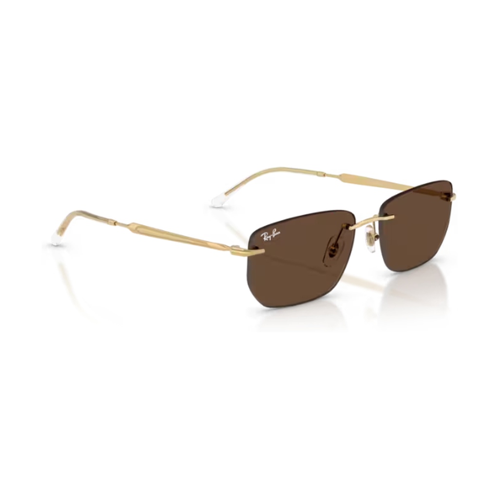 Ray-Ban (RB3768)