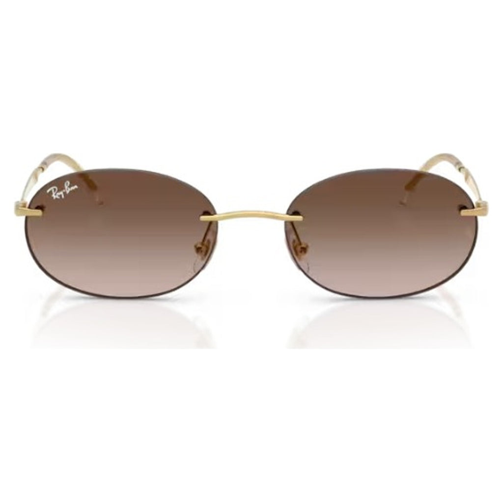 Ray-Ban (RB3767)