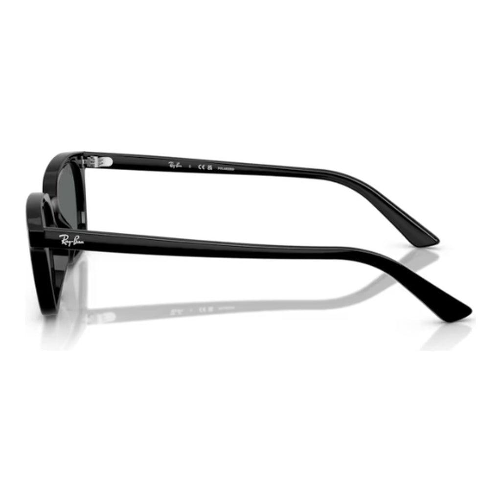 Ray-Ban (RB4456)