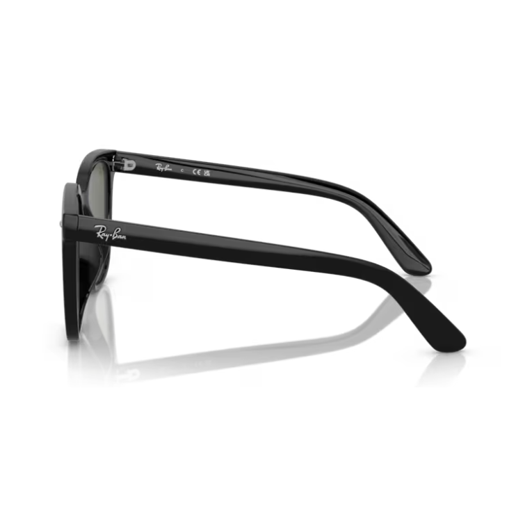 Ray-Ban (RB4401D)