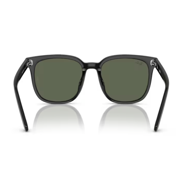 Ray-Ban (RB4401D)