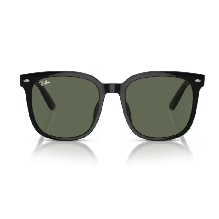 Ray-Ban (RB4401D)