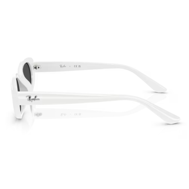 Ray-Ban (RB4441D)